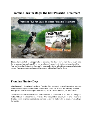 Frontline Plus for Dogs: The Best Parasitic Treatment