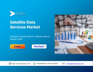 Satellite Data Services Market Share