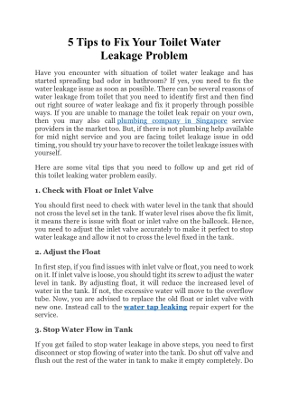 5 Tips to Fix Your Toilet Water Leakage