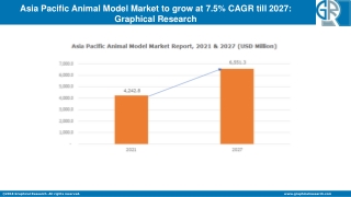 Asia Pacific Animal Model Market Outlook 2021 - Industry Statistics Analysis by