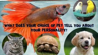 What Does Your Choice Of Pet Tell You About Your Personality