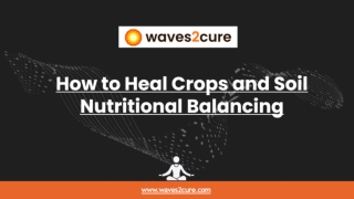 How to Heal Crops and Soil - Nutritional Balancing