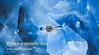 Best Princess Eternity Ring Online - www.eternityus.com