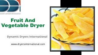 Fruit and vegetable dryer