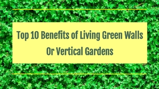 Top 10 Benefits of Living Green Walls or Vertical Gardens