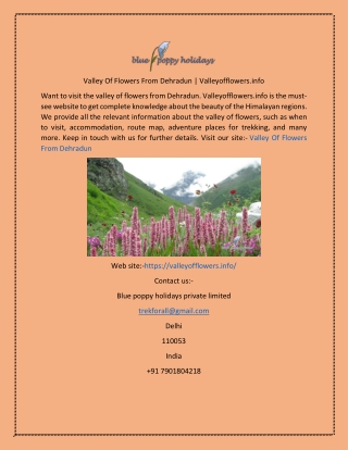 Valley Of Flowers From Dehradun  Valleyofflowers.info