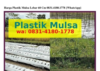 Harga Plastik Mulsa Lebar 60 Cm Ô8ᣮl.Ꮞl8Ô.lᜪᜪ8(WA)