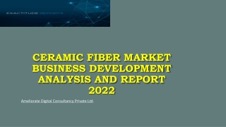 Ceramic Fiber Market PPT