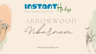 Arrowwood Viburnum: Your Garden's Pride