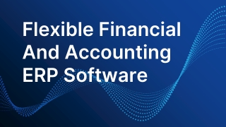 Flexible Financial And Accounting ERP Software