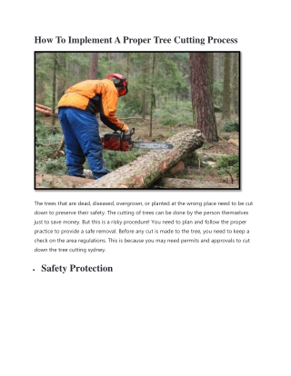 How To Implement A Proper Tree Cutting Process