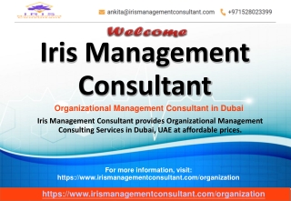 Organizational Management Consultant in Dubai