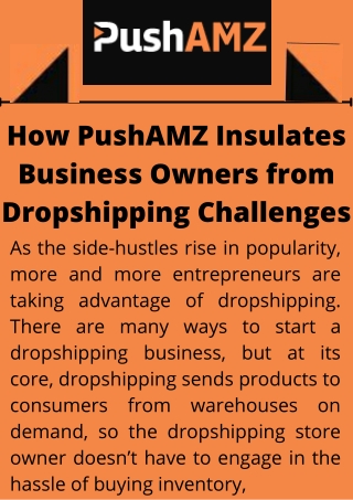 How PushAMZ Insulates Business Owners from Dropshipping Challenges