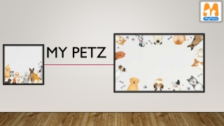 Drools Dog Food | Mypetz