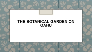 The Botanical Garden on Oahu