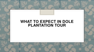 What to Expect in Dole Plantation Tour
