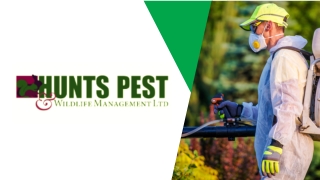 Pest Control Sawtry