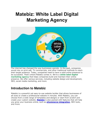 Matebiz: White Label Digital Marketing Agency