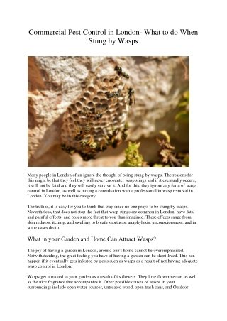Commercial Pest Control in London- What to do When Stung by Wasps