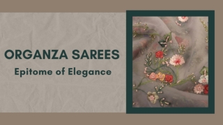 Organza Sarees - Epitome of Elegance