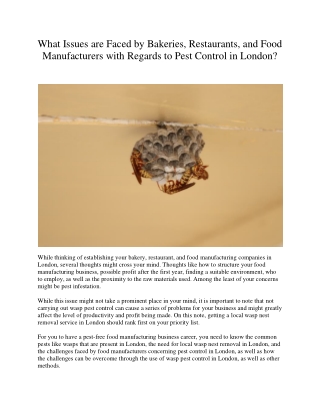 What Issues are Faced by Bakeries, Restaurants, and Food Manufacturers with Regards to Pest Control in London