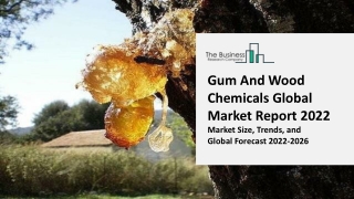 Gum And Wood Chemicals Global Market By Type, By Application, By Region, Market Overview and Forecasts through 2031