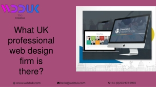 What UK professional web design firm is there_