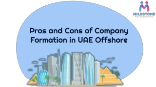 Pros and Cons of Company Formation in UAE Offshore