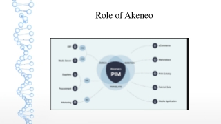 Role of Akeneo Module