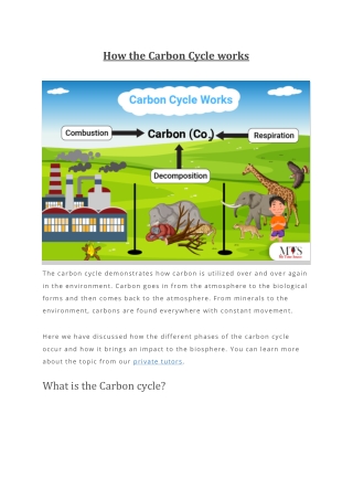 How the Carbon Cycle works