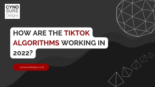 How Are The TikTok Algorithms Working In 2022