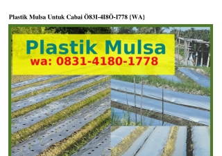Plastik Mulsa Untuk Cabai ౦83I_ԿI8౦_I778{WA}