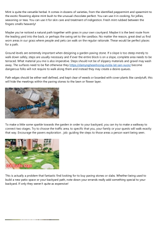 How To Prepare Ground For And Lay Paving