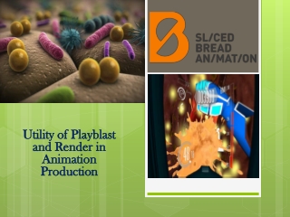 Utility of Playblast and Render in Animation Production