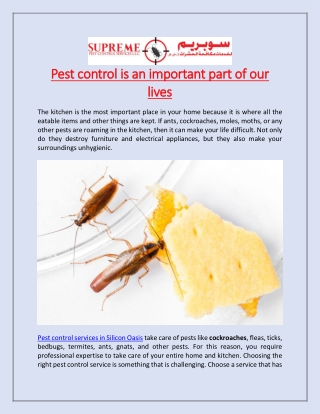 Pest control is an important part of our lives