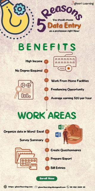 Why you should choose data entry as profession