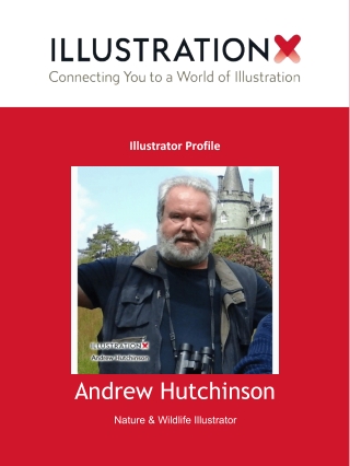 Andrew Hutchinson - Nature & Wildlife Illustrator