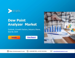 Dew Point Analyzer Market Size and Demands Analysis from 2020-2029