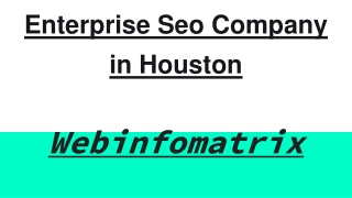 Enterprise Seo Company in Houston