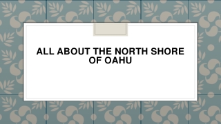 All About the North Shore of Oahu