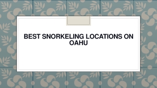 Best Snorkeling Locations on Oahu
