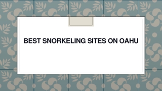 Best Snorkeling Sites on Oahu