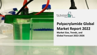 Global Polyacrylamide Market Size, Share, By Type, By Application, Industry Analysis, Growth and Regional Forecast, 2022