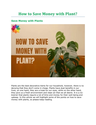 How to Save Money with Plant