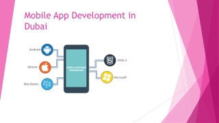 Mobile App Development in Dubai