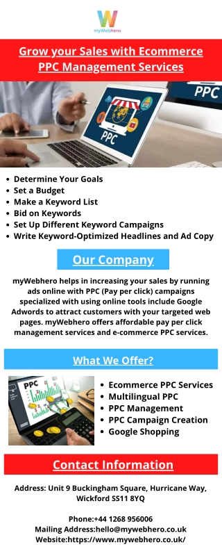 Grow your Sales with Ecommerce PPC Management Services