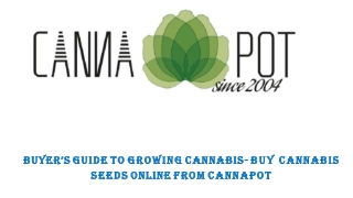 Buyer’s guide to growing cannabis- Buy cannabis seeds online from Cannapot