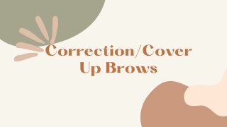 CorrectionCover Up Brows PPT