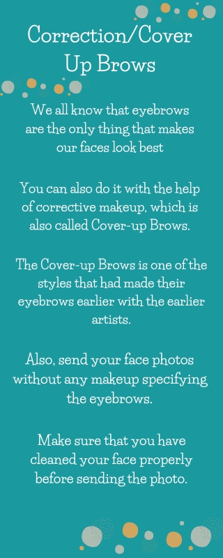 CorrectionCover Up Brows Info