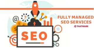 Get Fully Managed SEO Services Today Only from ThatWare
